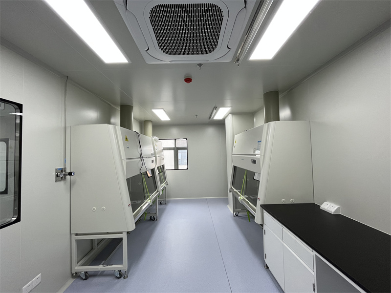 Sala limpa ISO 7 (4)
