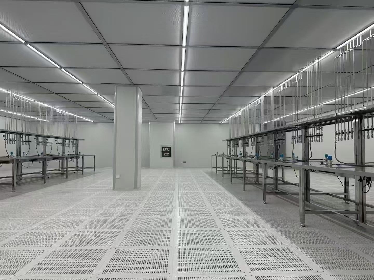 פפו ריין צימער