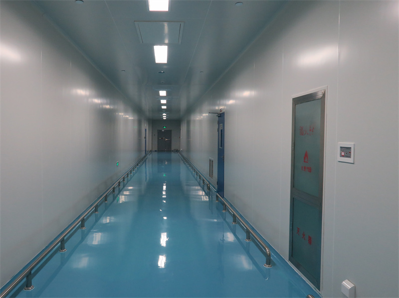 ISO 8 Clean Room (1)