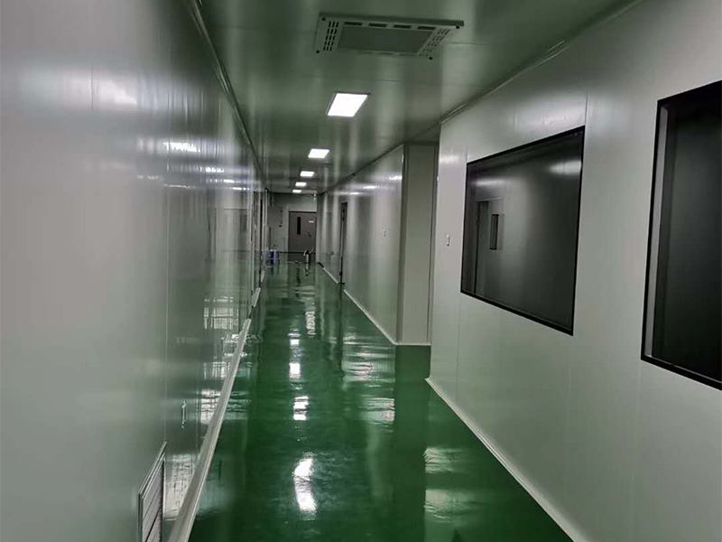 air shower clean room