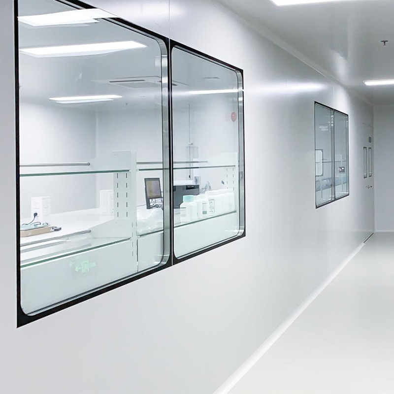 cleanroom window